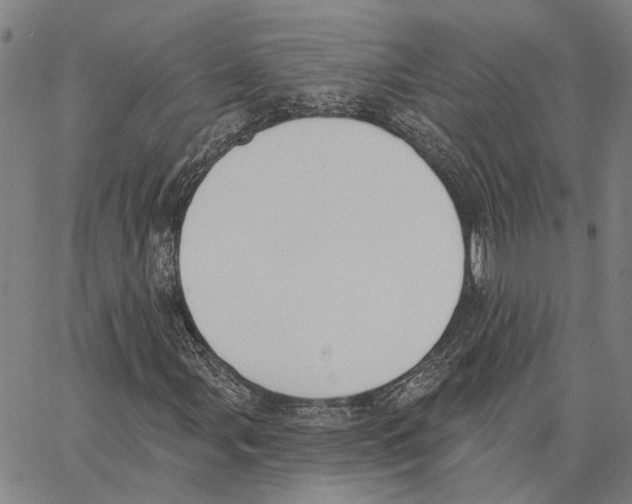 X0000062861107200602101619