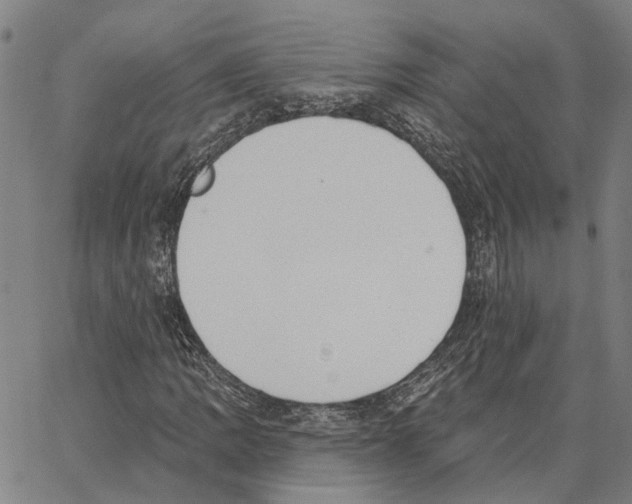 X0000062861109200602101620