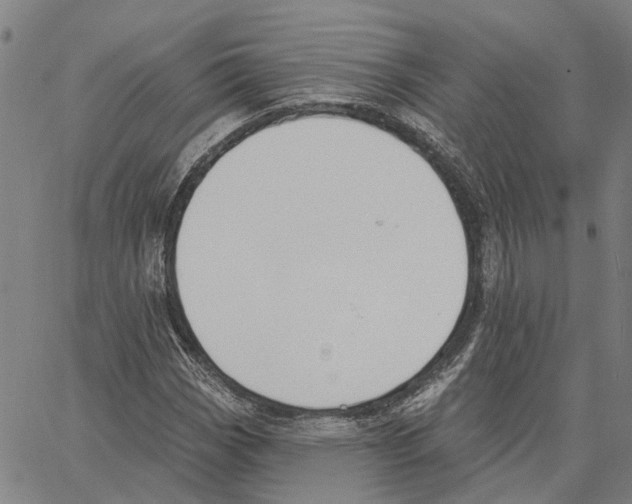 X0000062861113200602101620