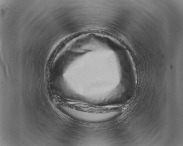 X0000062861124200602101620