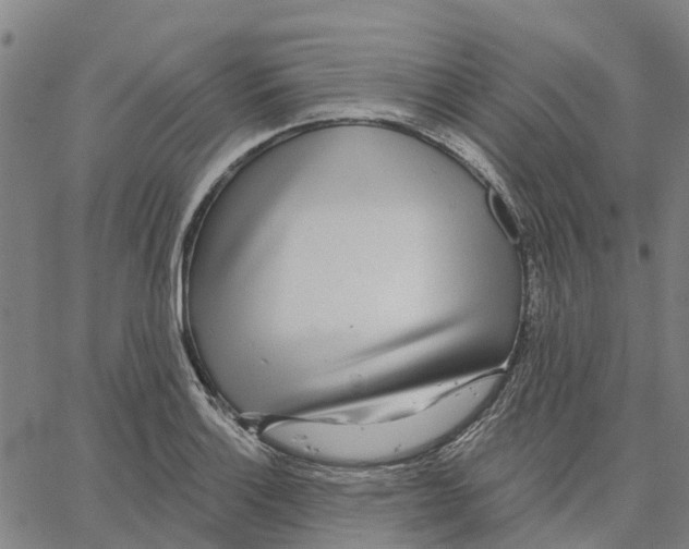 X0000062861132200602101620
