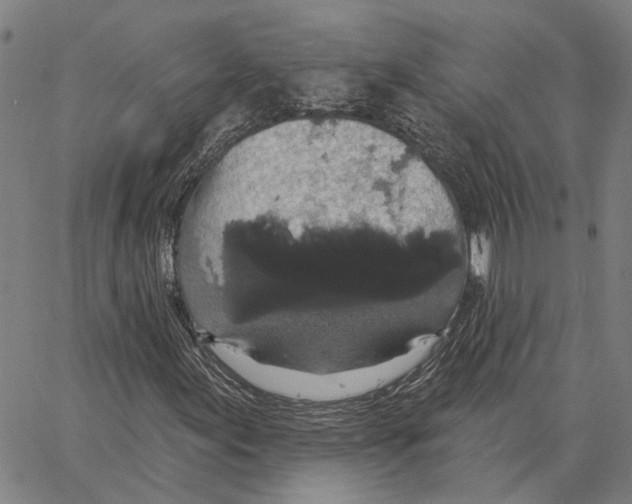 X0000062861155200602101619