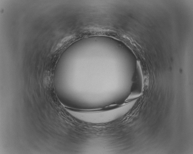 X0000062861157200602101619