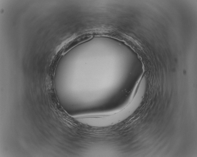 X0000062861160200602101619