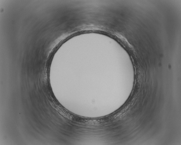 X0000062861167200602101619