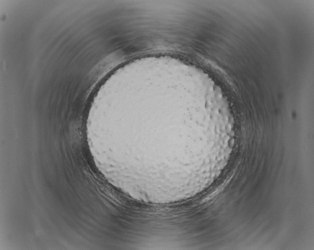X0000062861170200602101619