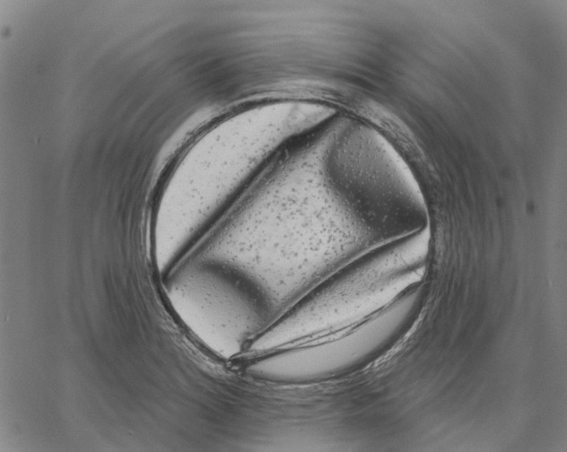 X0000062861180200602101619