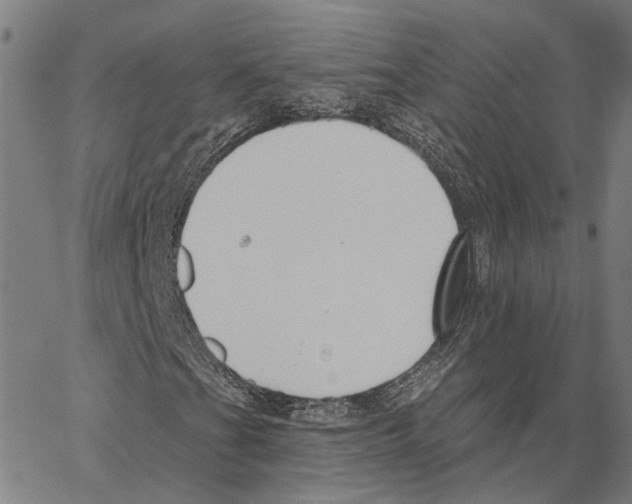X0000062861201200602101618