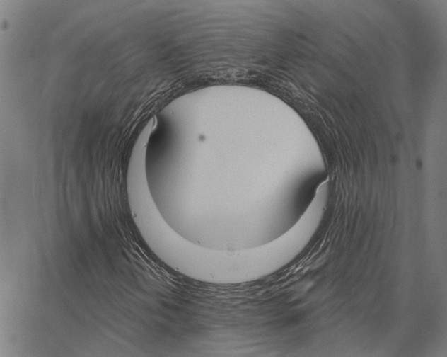 X0000062861202200602101618
