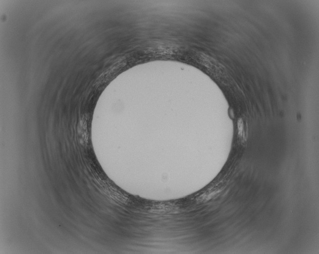 X0000062861203200602101618