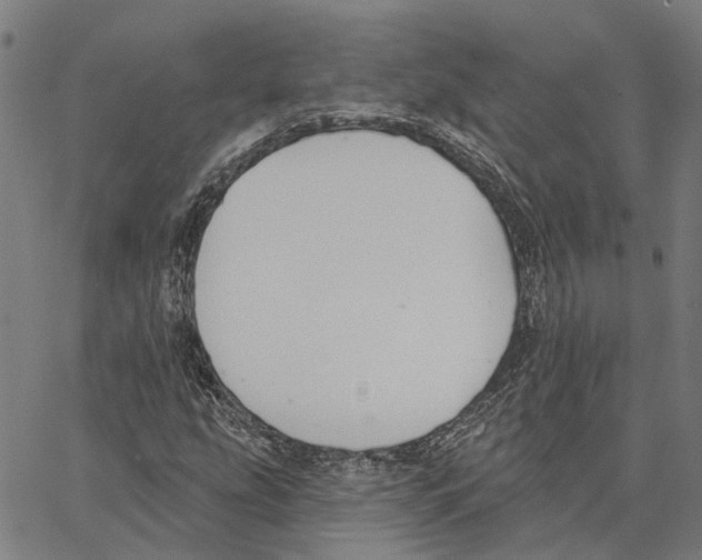 X0000062861207200602101618