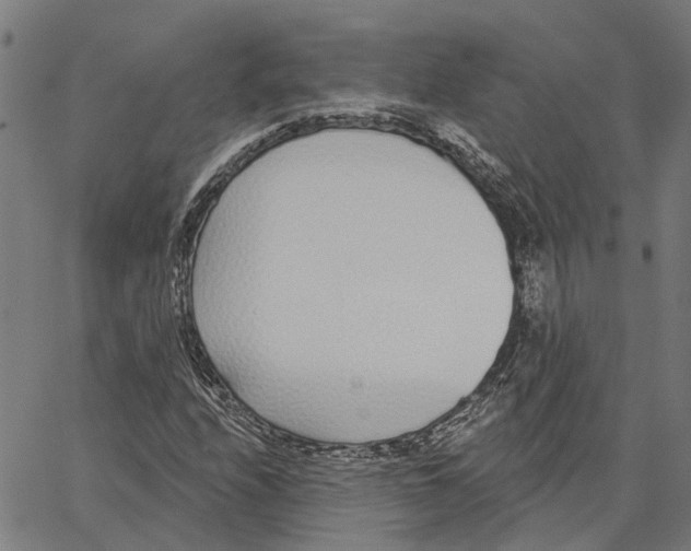 X0000062861208200602101618