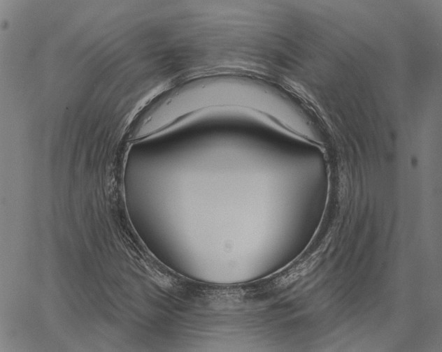 X0000062861210200602101618