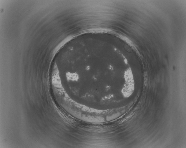 X0000062861229200602101618