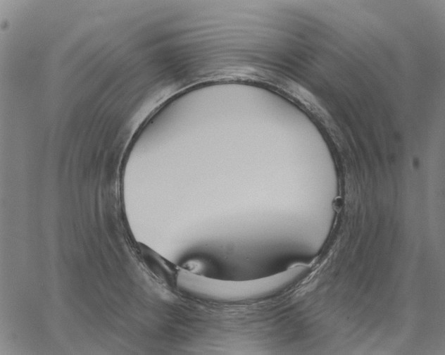 X0000062861234200602101618