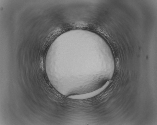 X0000062861251200602101618