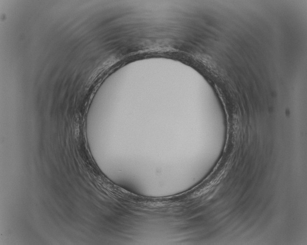 X0000062861257200602101618