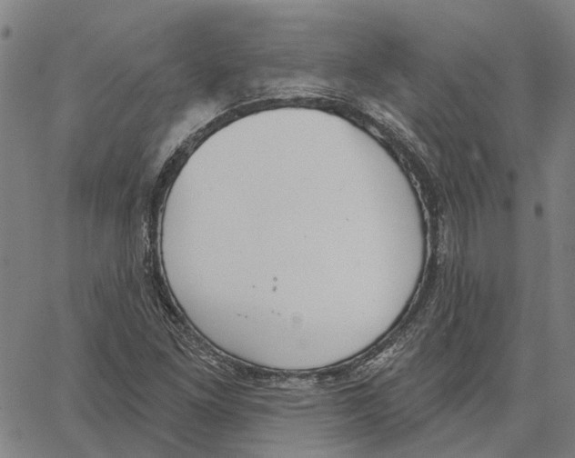 X0000062861261200602101618