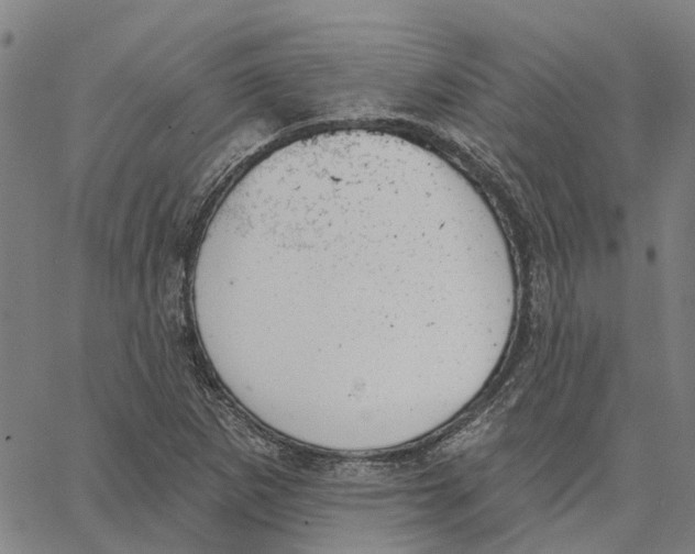 X0000062861265200602101618