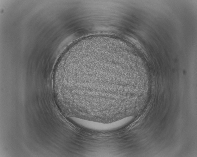 X0000062861275200602101617