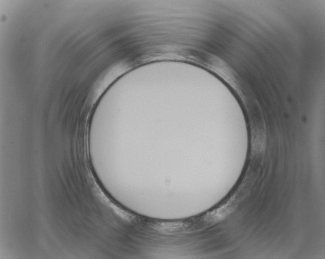 X0000062861290200602101617