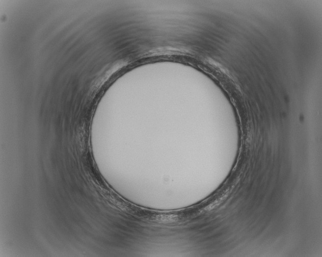 X0000062861313200602101617