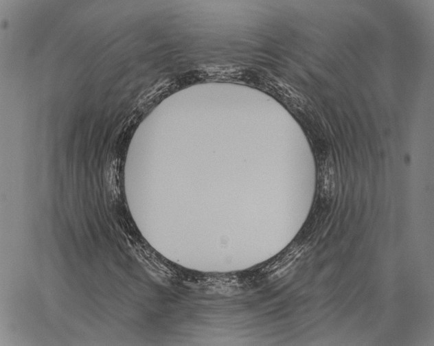 X0000062861346200602101616