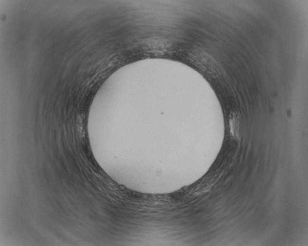 X0000062861347200602101616