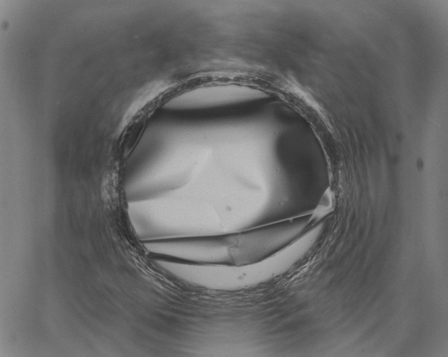 X0000062861352200602101616