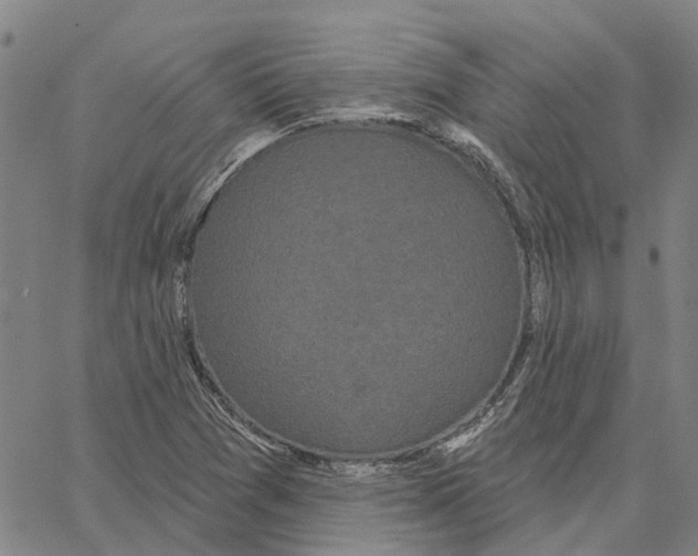 X0000062861361200602101616