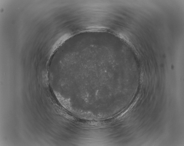 X0000062861362200602101616