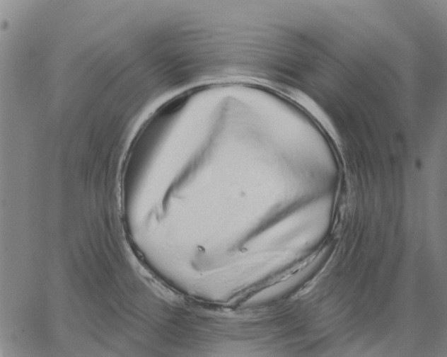 X0000062861388200602101616