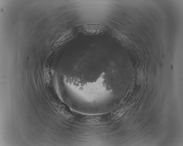X0000062861394200602101615