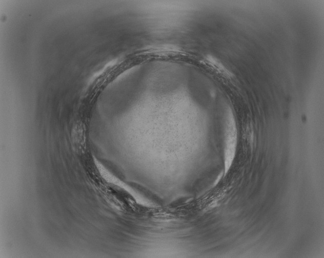 X0000062861398200602101615