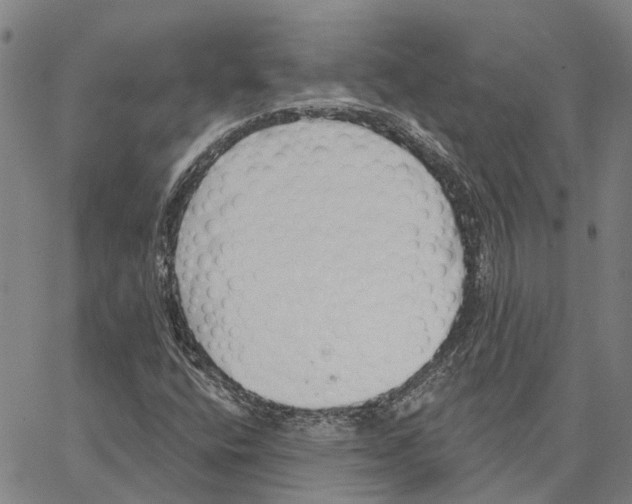 X0000062861400200602101615