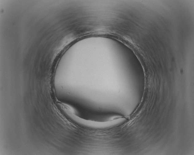 X0000062861410200602101615