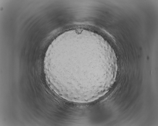 X0000062861411200602101615