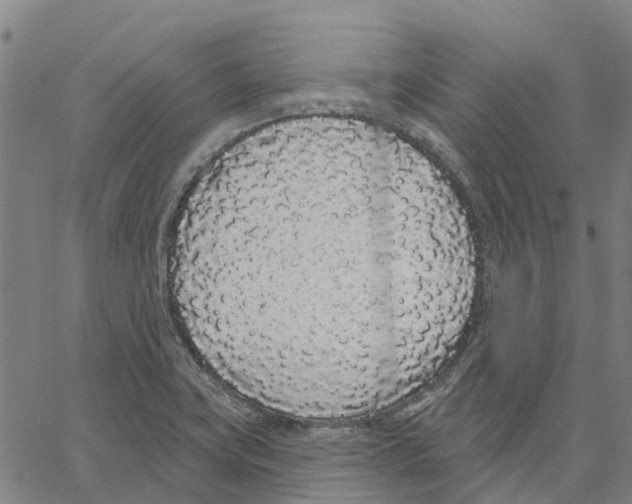 X0000062861419200602101615