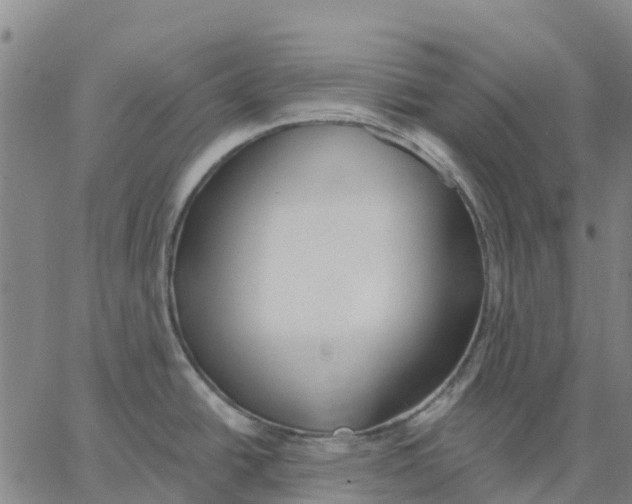 X0000062861438200602101616