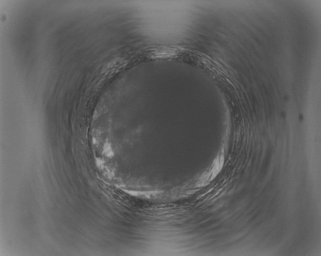 X0000062861441200602101615