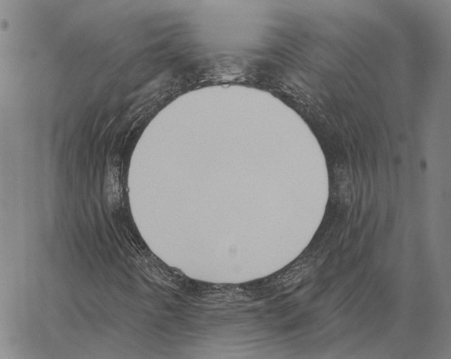 X0000062861442200602101615
