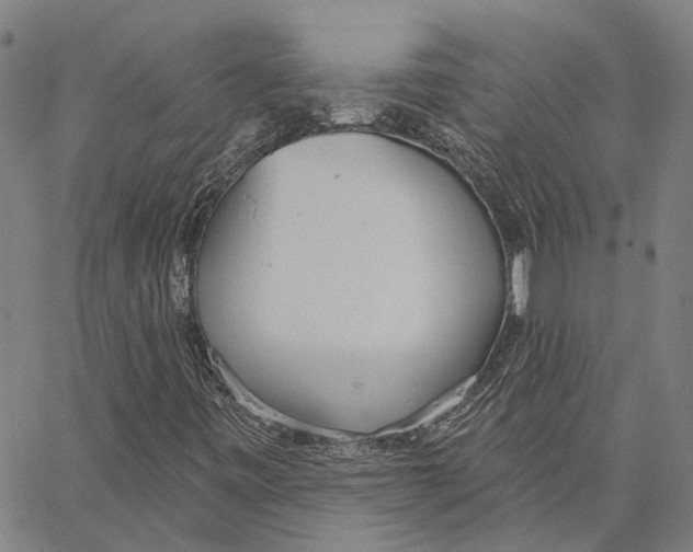 X0000062861443200602101615