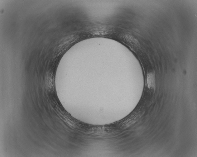X0000062861444200602101615