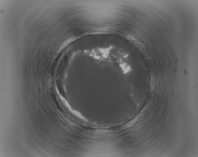 X0000062861449200602101615