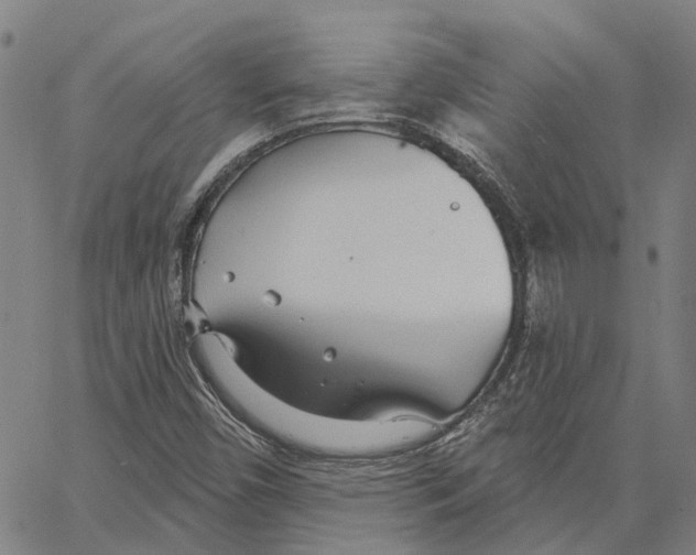 X0000062861450200602101615