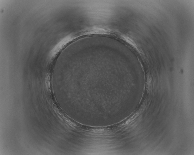 X0000062861455200602101615