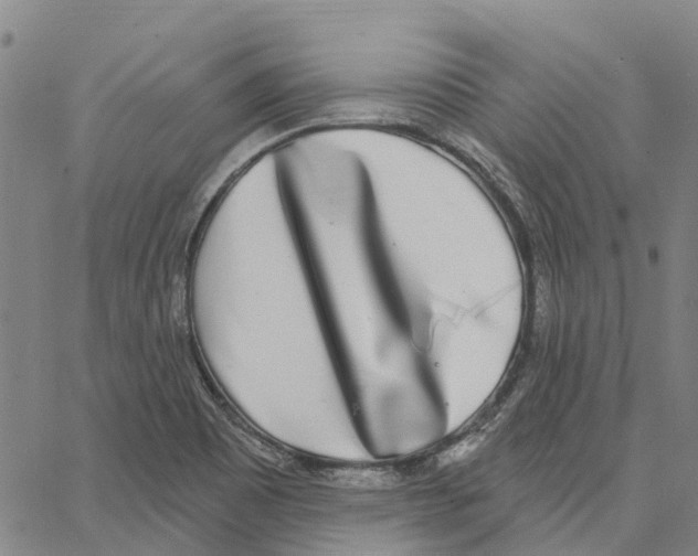 X0000062861465200602101614