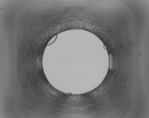 X0000062861491200602101613