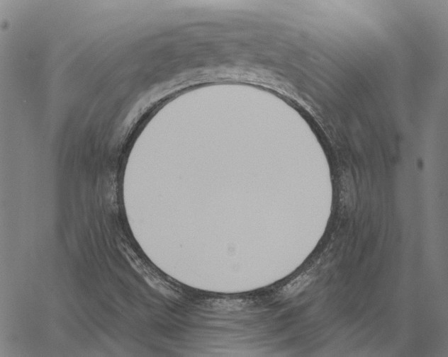 X0000062861499200602101613