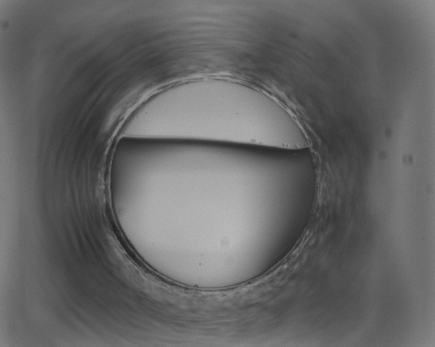 X0000062870002200601131023